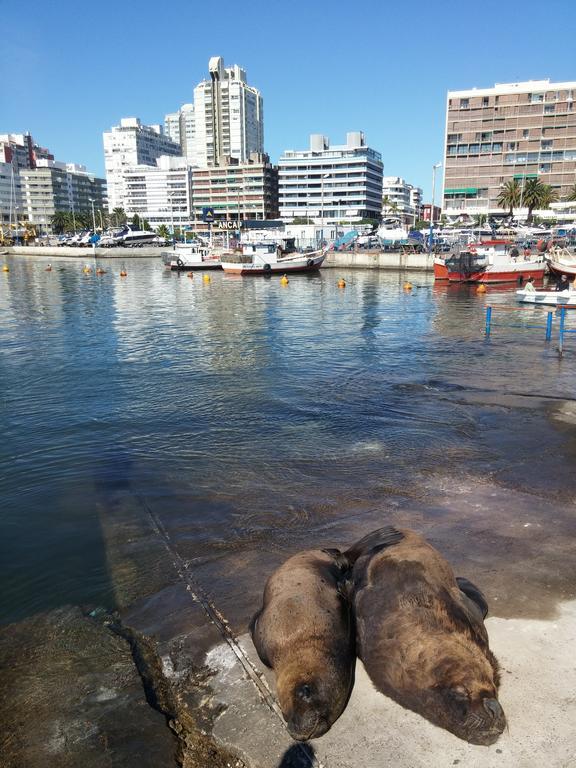 Edificio Canal Azul Punta del Este Zewnętrze zdjęcie